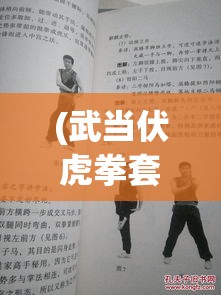 (武当伏虎拳套路教学) 武当伏魔录：探索千年古刹的秘境，揭开隐藏在古武之中的神秘力量