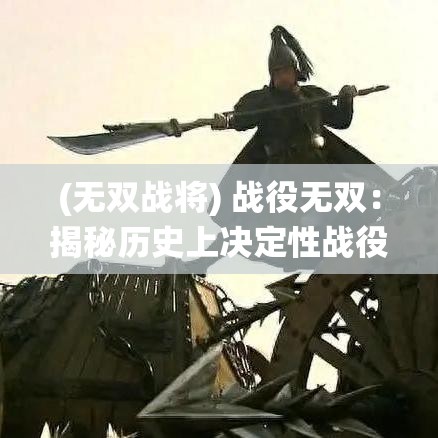 (无双战将) 战役无双：揭秘历史上决定性战役的转折点与英雄壮举