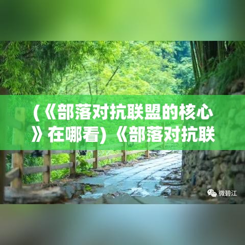 (《部落对抗联盟的核心》在哪看) 《部落对抗联盟的核心：团队协作如何成就胜利》—— 分析成功玩法的关键因素